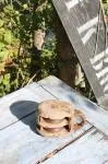 Old pulley 