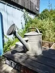 Old vintage watering can 