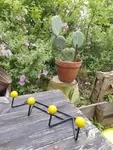 Atomic coat rack