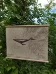 Bic on old nautical charts Tommy Bim