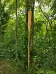 Boat oar 