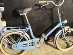 Canelli Folding Bike