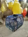 Lobster trap