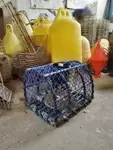 Lobster trap