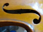 Companion Violin