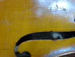 Companion Violin