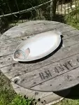 Digoin fish dish