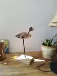 Driftwood and wood bird sculpture