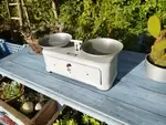 Enameled Orix Scales