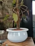 Enamelled flowerpot