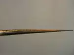 Erotic cane