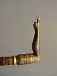 Erotic cane