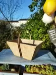 Large grape harvesting basket