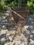 Manna of oysters oyster basket