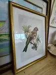 Naturalistic setting