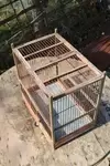 Old bird cage