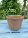 Old cottage cheese 