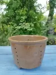 Old cottage cheese 