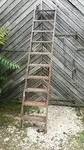 Old ladder