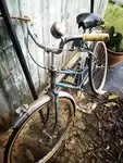 old Peugeot bike