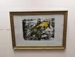 Oriole engraving old golden frame