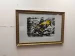 Oriole engraving old golden frame