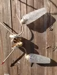 Pair of 60s wall lights