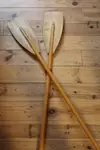 Pair of annex oars 