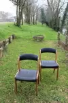 Pair of designer chairs 70