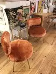 Pair of Pelfran