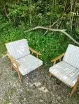 Pair of Thonet Boomerang armchairs 