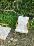 Pair of Thonet Boomerang armchairs 