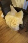 Sheepskin from the 60s and 70s 