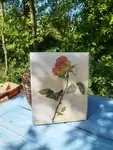 Painting on wood Roses