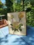 Painting on wood Roses