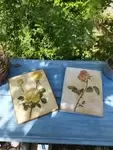 Painting on wood Roses