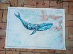 Painting on a nautical chart, 1960s 