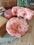 Pelfran Pink Toupee Chair