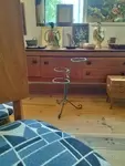 Plant holder 