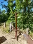 Parrot coat rack, early 20th century 