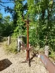 Parrot coat rack, early 20th century 