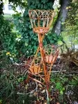 Rattan plant holder