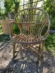 Rattan shell armchair