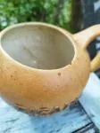 Ricard Pitcher 