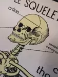Rossignol the skeleton school poster