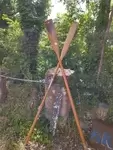 Row Finland