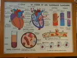 Science school poster