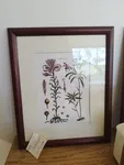set of four vintage engraving flower frames