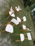 Set of six wood and white skai chairs