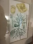 Small old golden frame